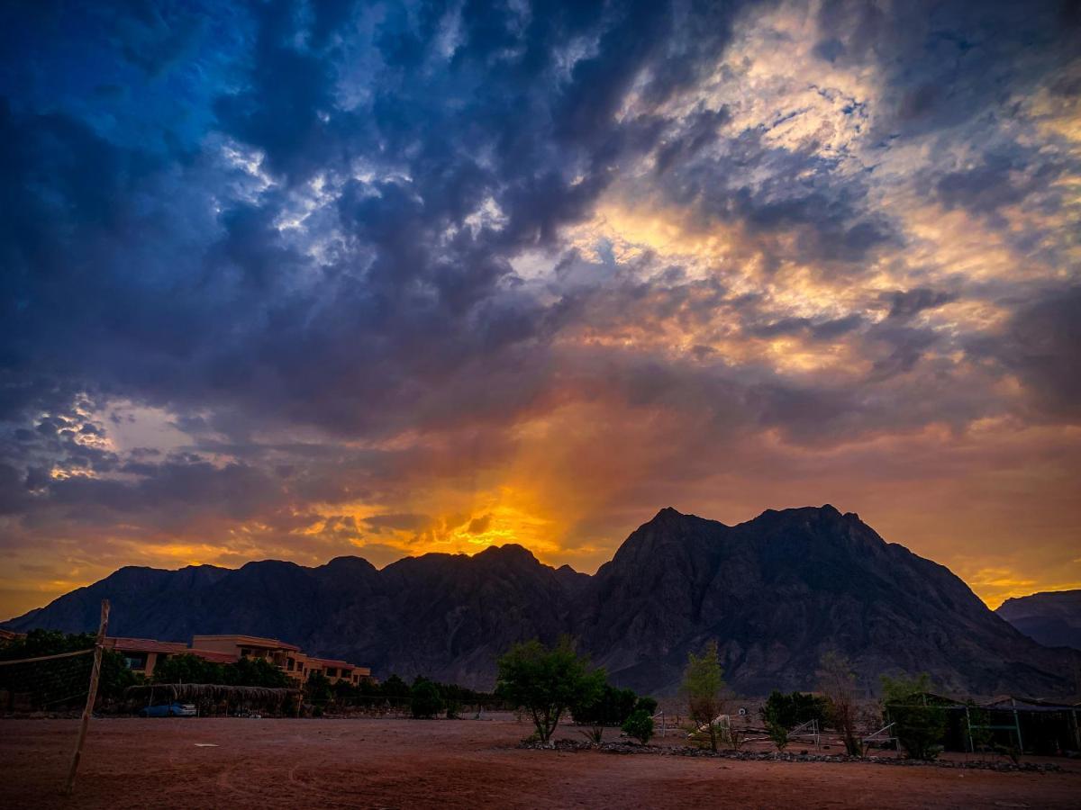 Hotel Sakratah Camp - Eco Friendly Taba Exteriér fotografie