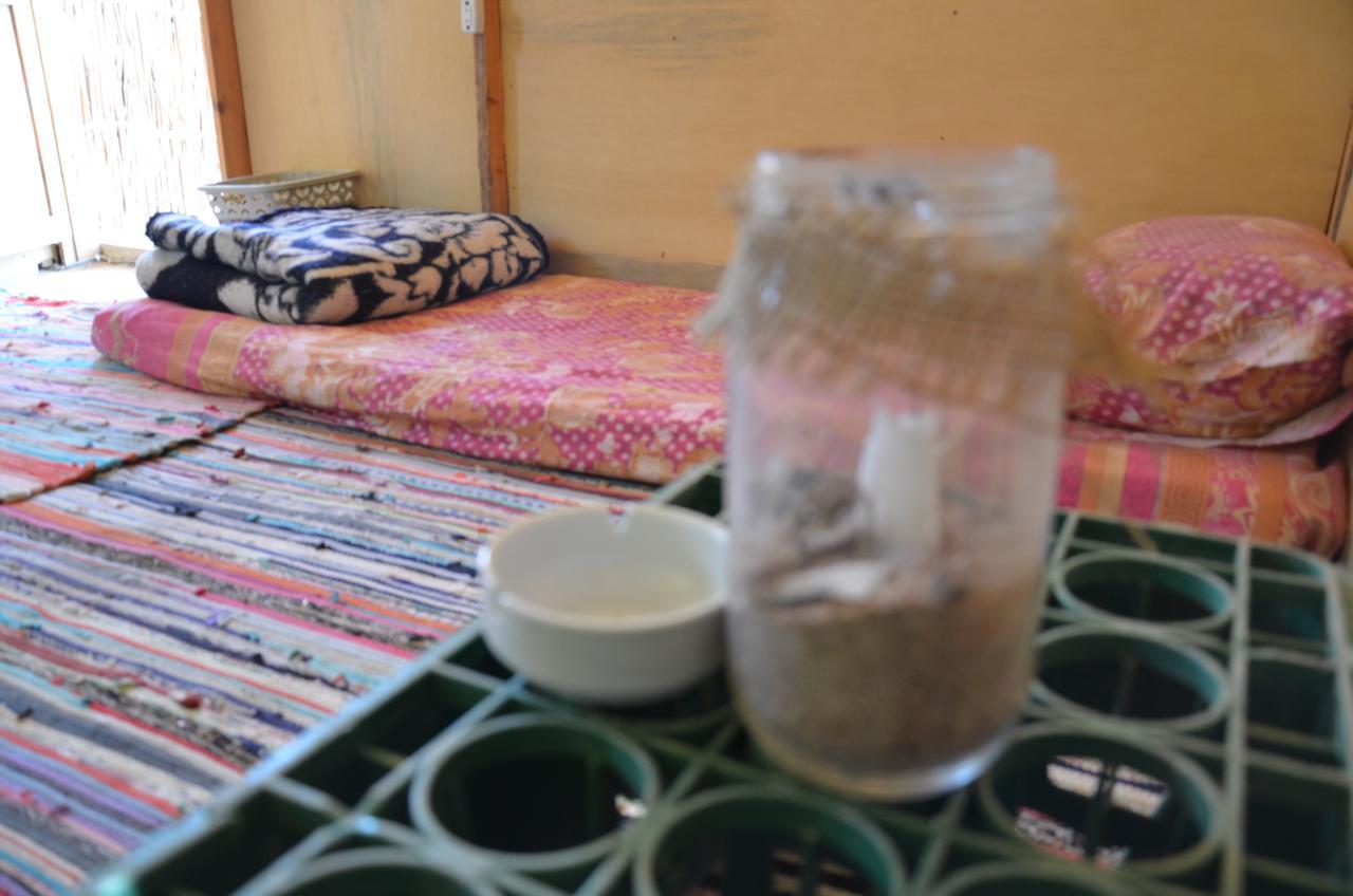 Hotel Sakratah Camp - Eco Friendly Taba Exteriér fotografie